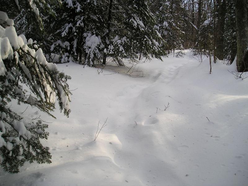 Stinson (8).JPG - It was a lot more work breaking the deeper snow. In a few spots the snow drifted over the trail and we didn't know which way to go.